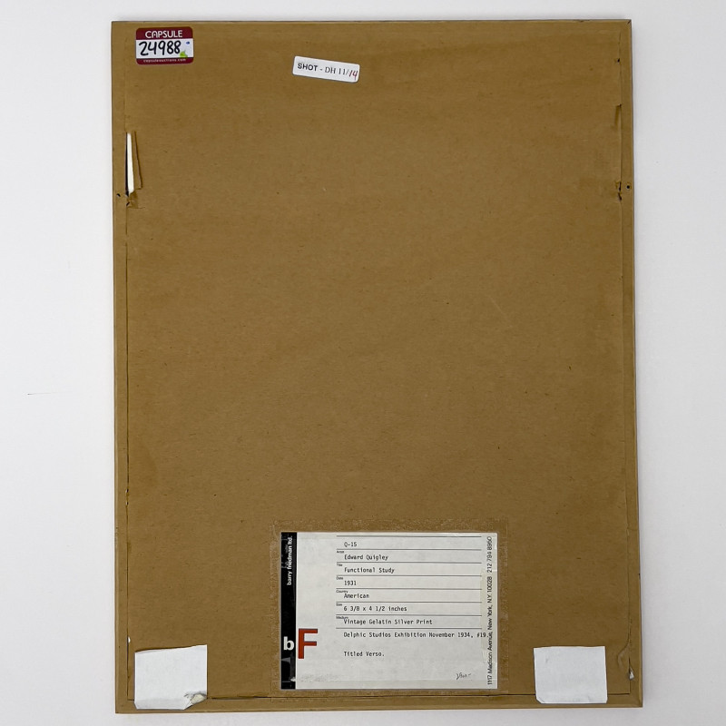 Edward Quigley - Functional Study