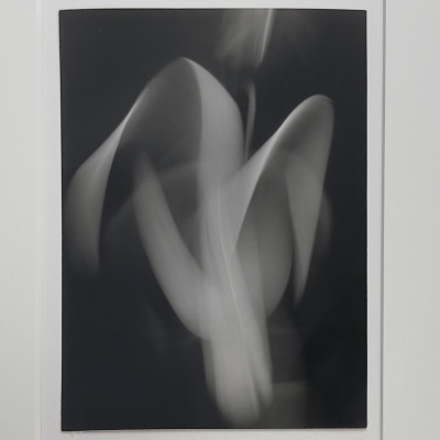 Edward Quigley - Form