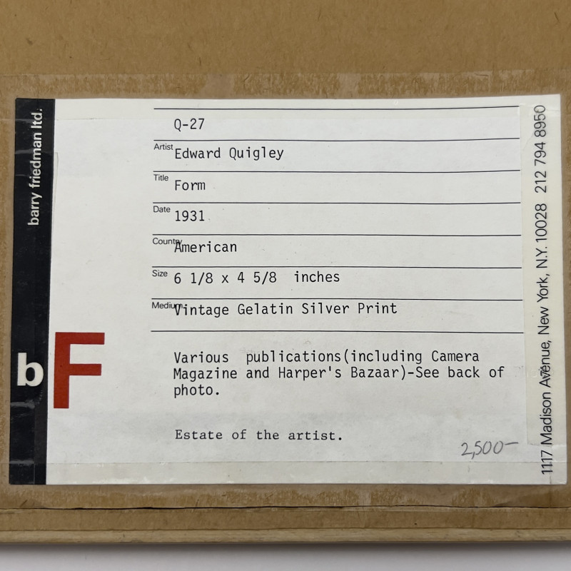 Edward Quigley - Form