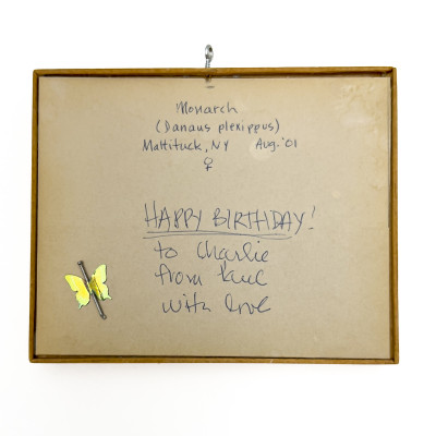 Paul Taylor - Monarch (Butterfly mounted Photograph)