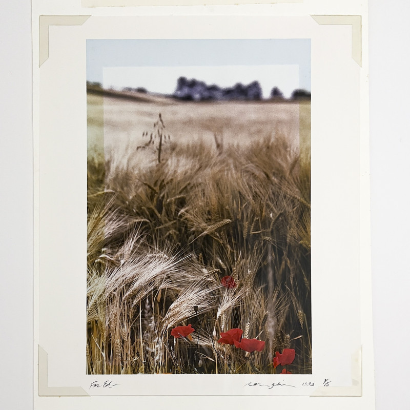 Ralph Gibson - Wheat Field, Burgundy