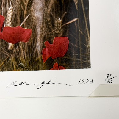 Ralph Gibson - Wheat Field, Burgundy