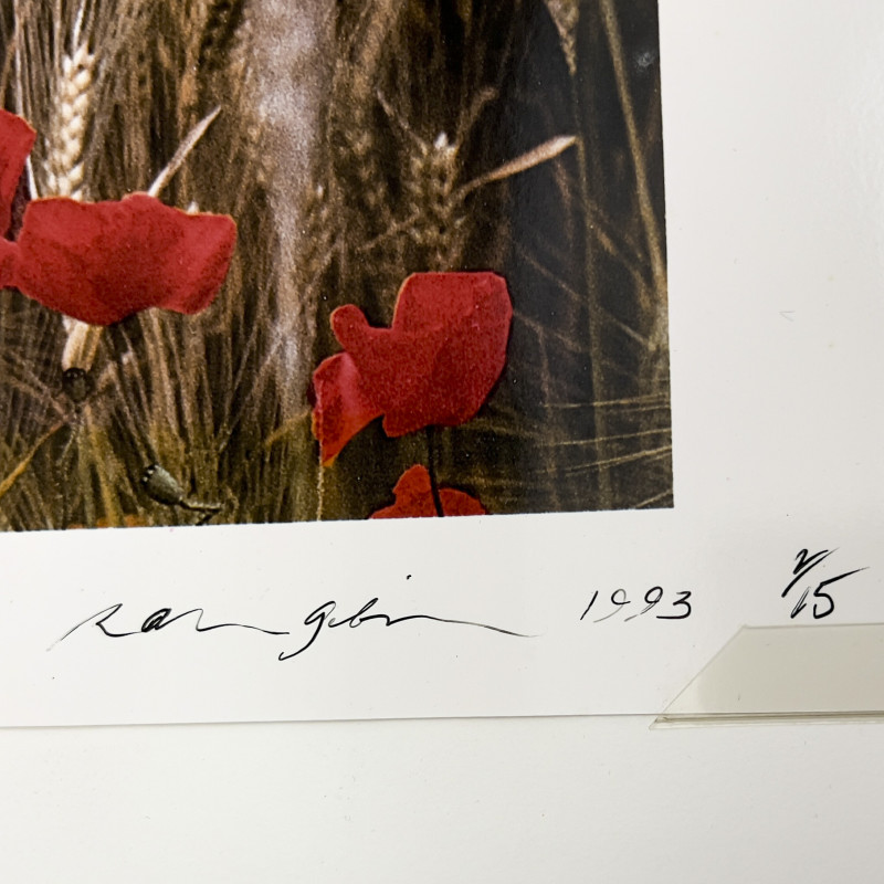 Ralph Gibson - Wheat Field, Burgundy