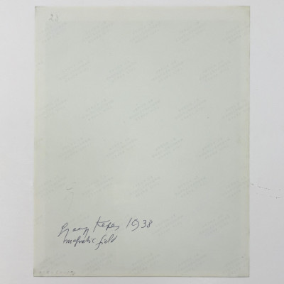 György Kepes - Magnetic Fields