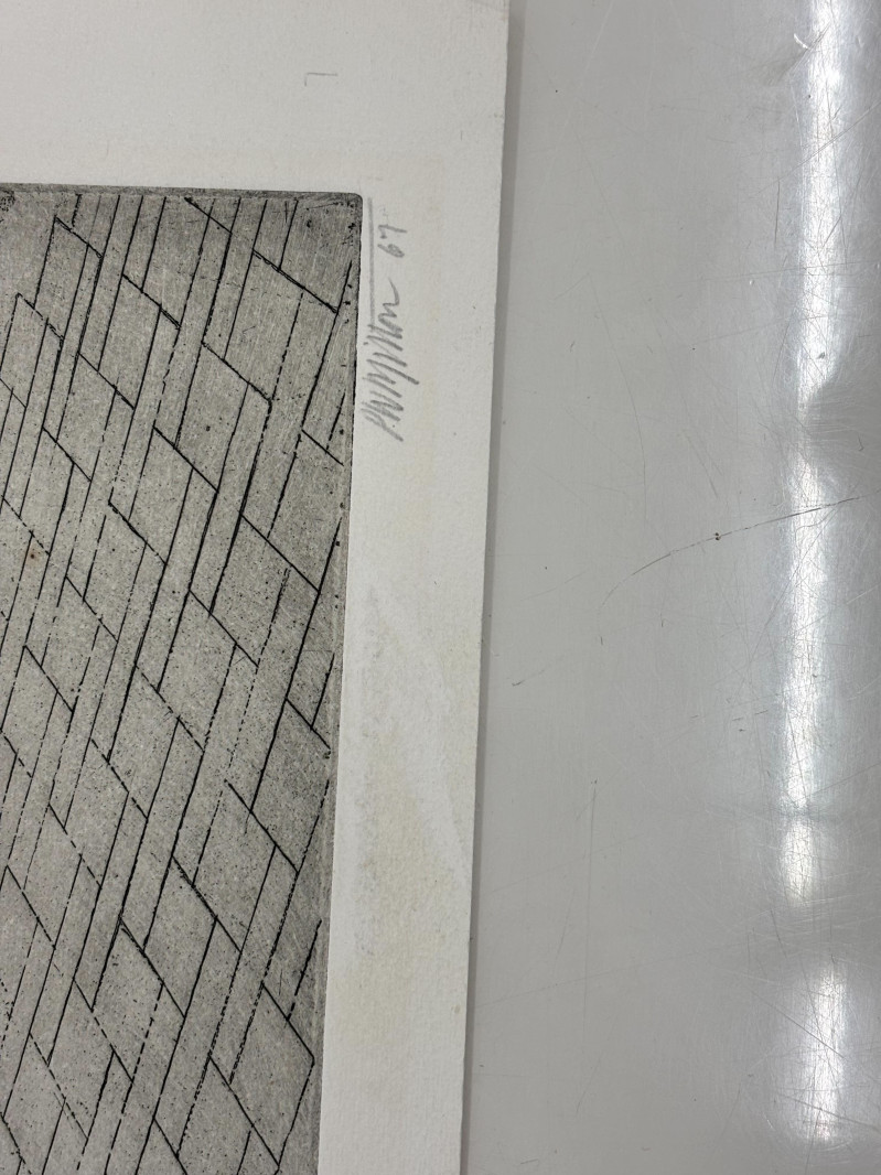 Peter Milton - Victoria&apos;s Children (M. 47)