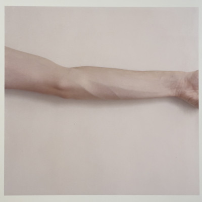 Image for Lot Saul Fletcher - Untitled #7 (self portrait/arm)