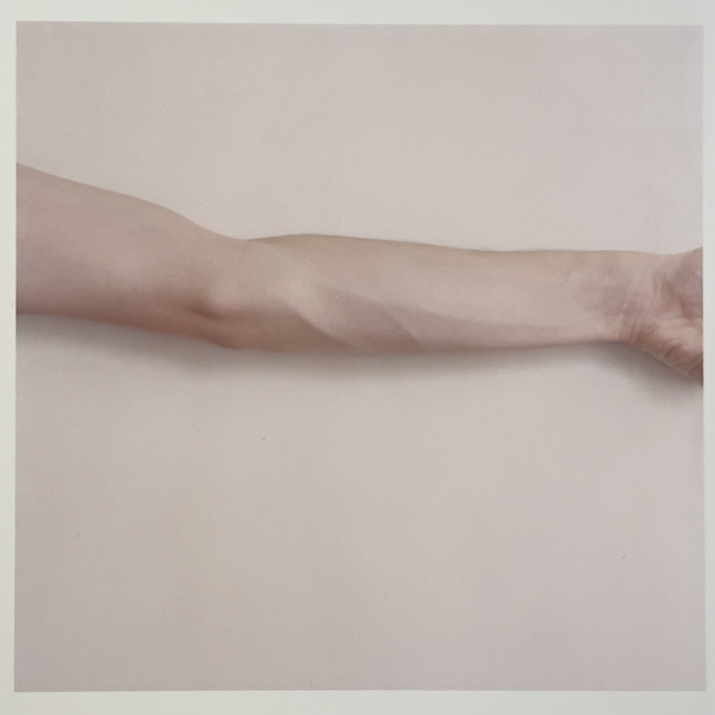 Saul Fletcher - Untitled #7 (self portrait/arm)