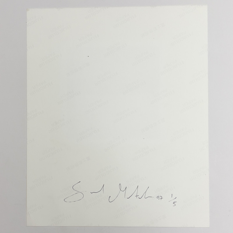 Saul Fletcher - Untitled #7 (self portrait/arm)