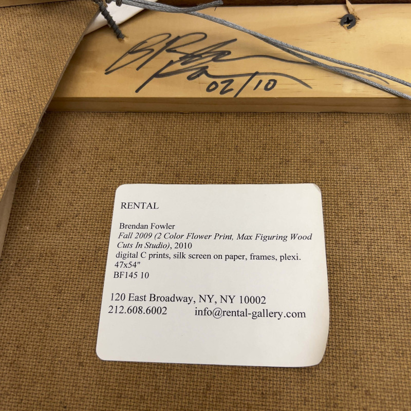 Brendan Fowler - Fall (2009)