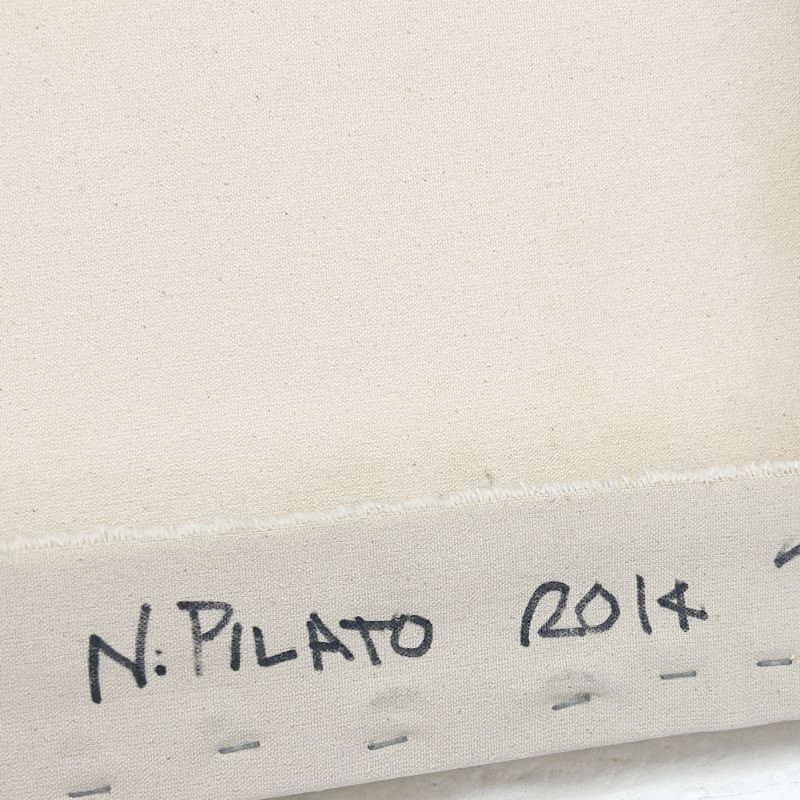 Nicholas Pilato - Untitled