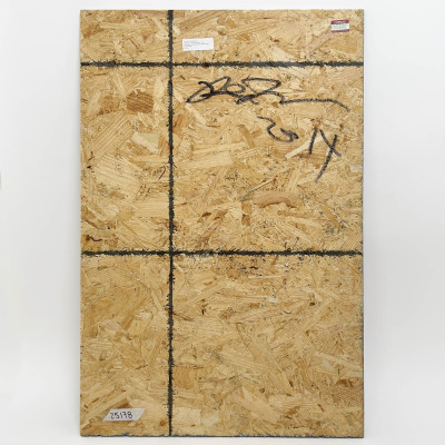 Peter Sutherland - The Torch from The Olympics