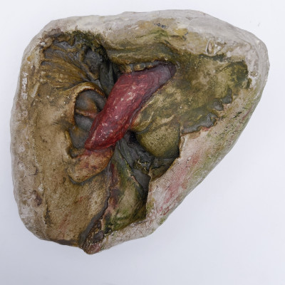 Image for Lot Kiki Smith - Tongue in Ear Sound Search