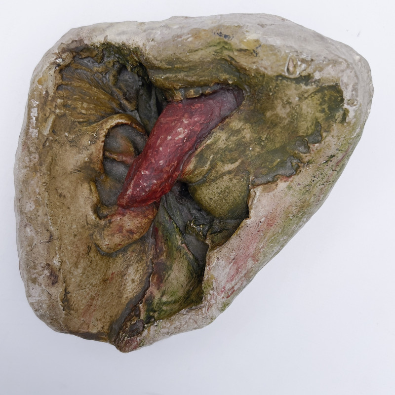 Kiki Smith - Tongue in Ear Sound Search