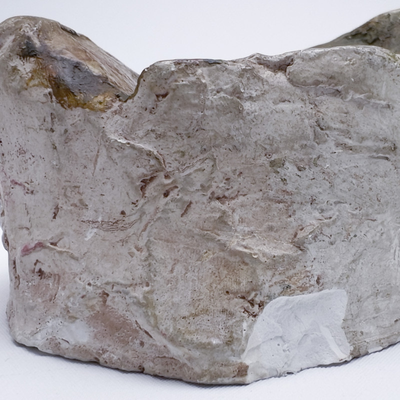 Kiki Smith - Tongue in Ear Sound Search