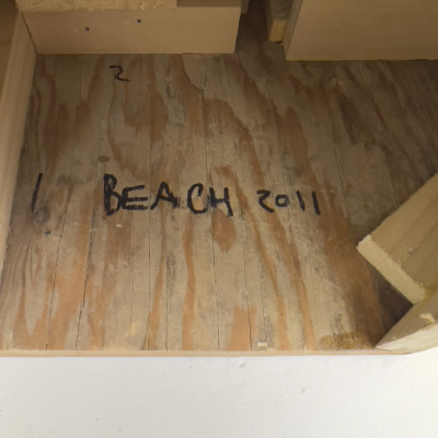 Rachel Beach - Survey