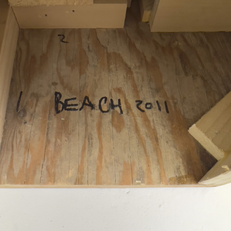 Rachel Beach - Survey