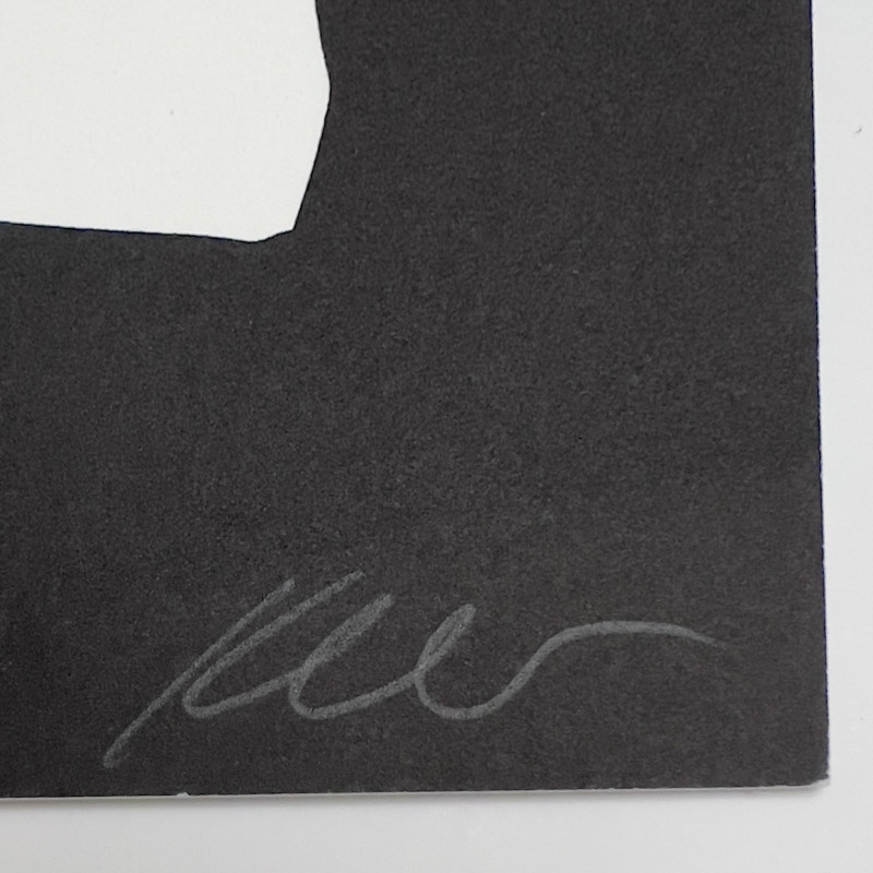 Kara Walker - Snared