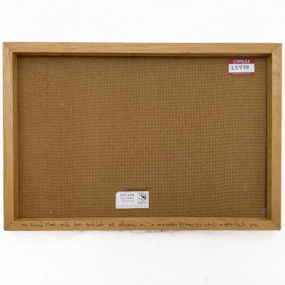 Rivane Neuenschwander - At a Certain Distance (ex-votos)