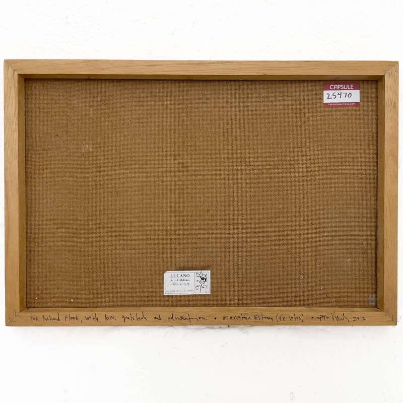 Rivane Neuenschwander - At a Certain Distance (ex-votos)