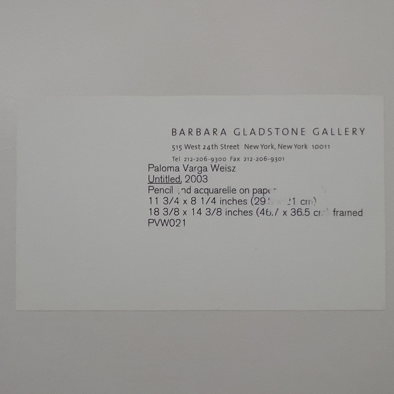 Paloma Varga Weisz - Untitled