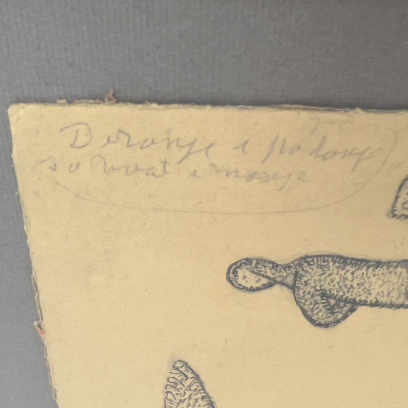 Sava Sekulić - Aufstehen und Fallen Durch Leben und Wissen