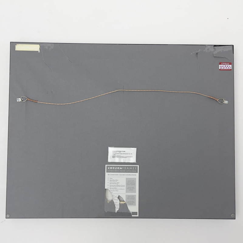 Armando Andrade Tuldela - Billboard 7