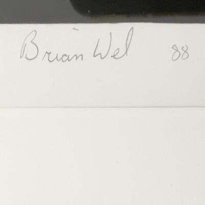 Brian Weil - from the AIDS series