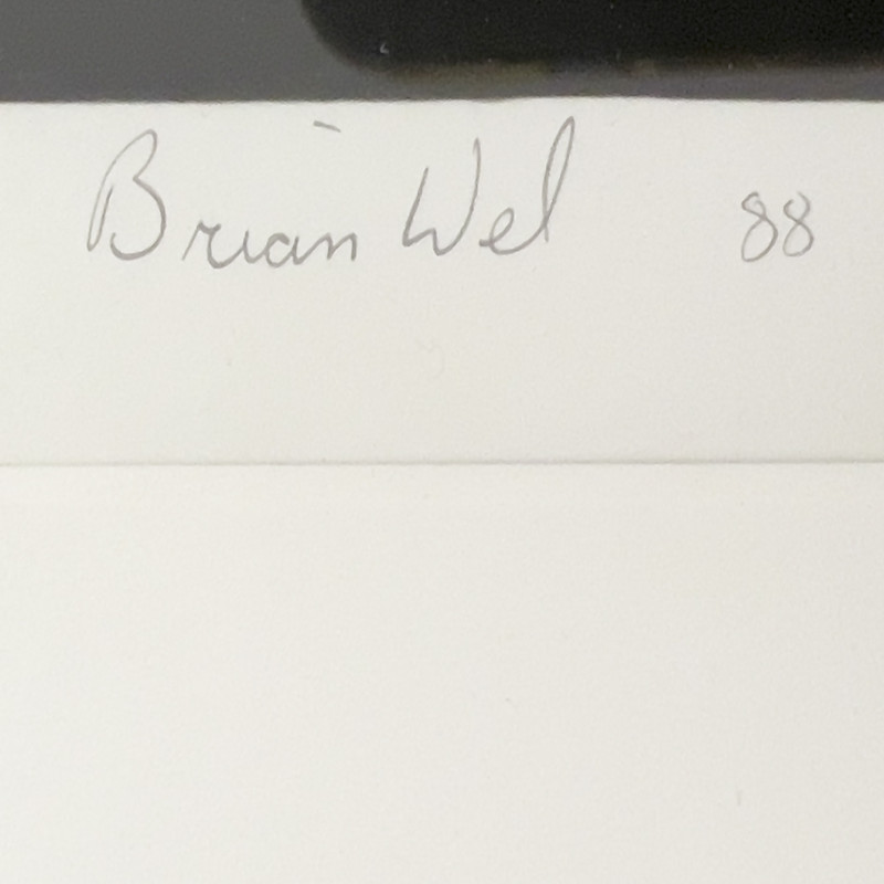 Brian Weil - from the AIDS series
