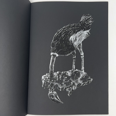 Ericailcane - Il Buio