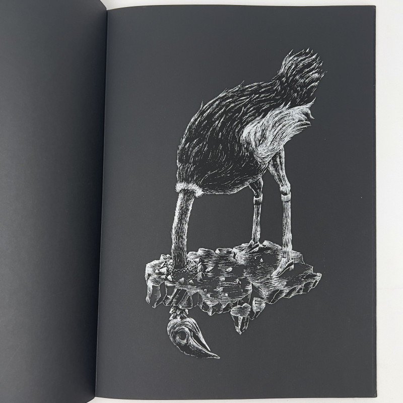 Ericailcane - Il Buio