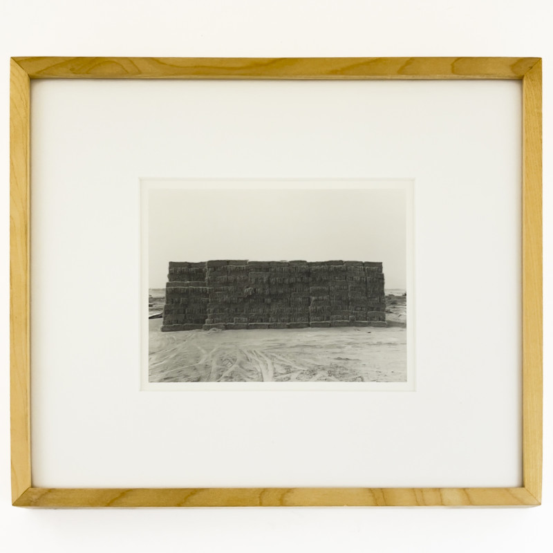 Juan Enrique Bedoya - Guadalupe, Trujillo