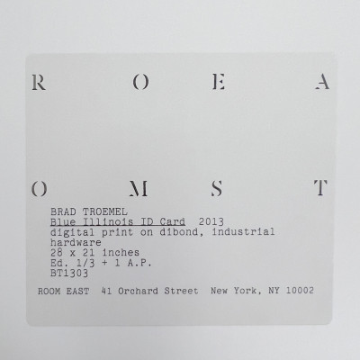 Brad Troemel - Blue Illinois ID Card