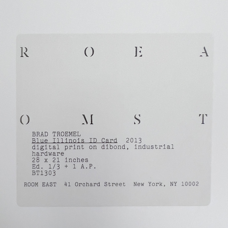 Brad Troemel - Blue Illinois ID Card