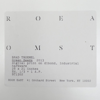 Brad Troemel - Green Seeds