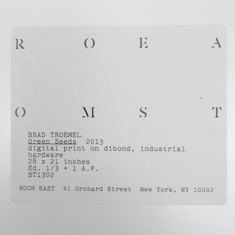 Brad Troemel - Green Seeds