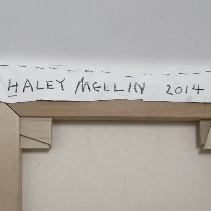 Haley Mellin - Human