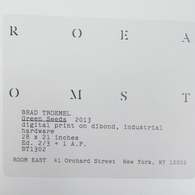 Brad Troemel - Green Seeds