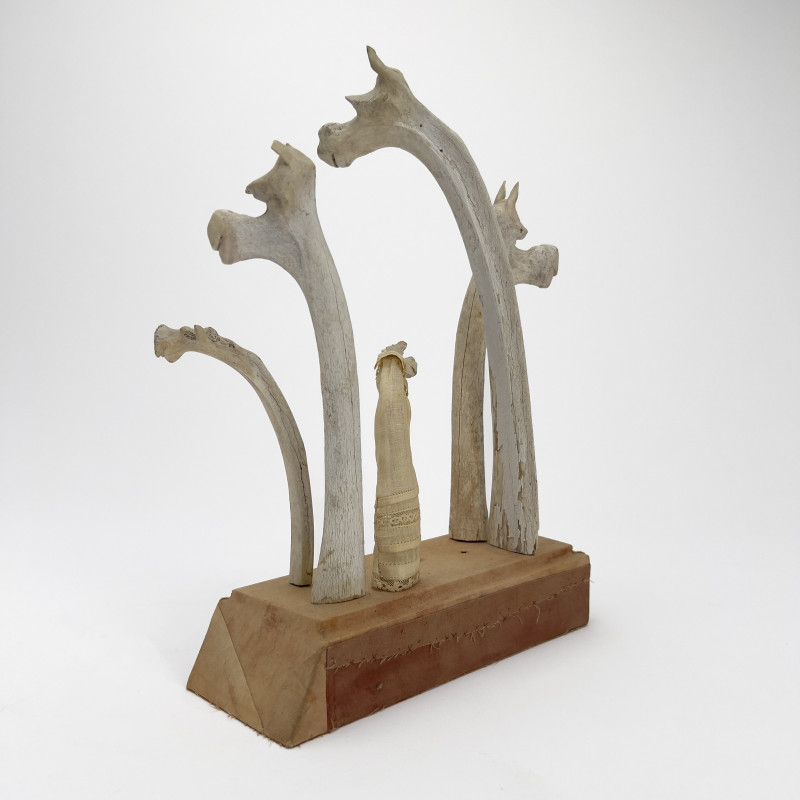 Melissa Zink - Bone Horses