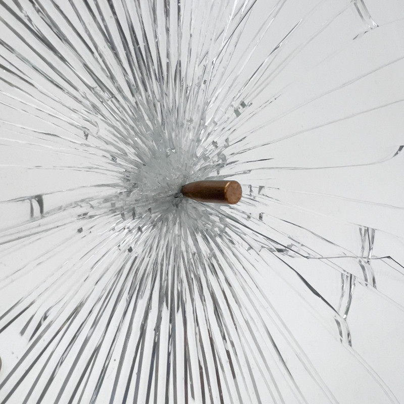 Pryce Lee - Who Killed Texter