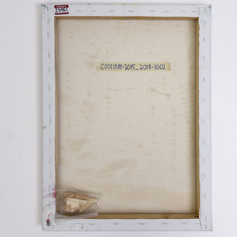 Janet Cooling - Untitled (Pathway)