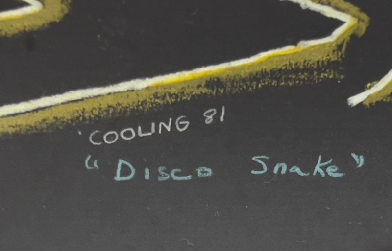 Janet Cooling - Disco Snake