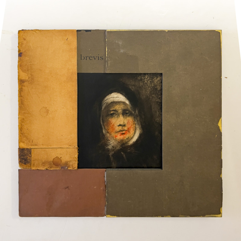 Melissa Zink - Brevis