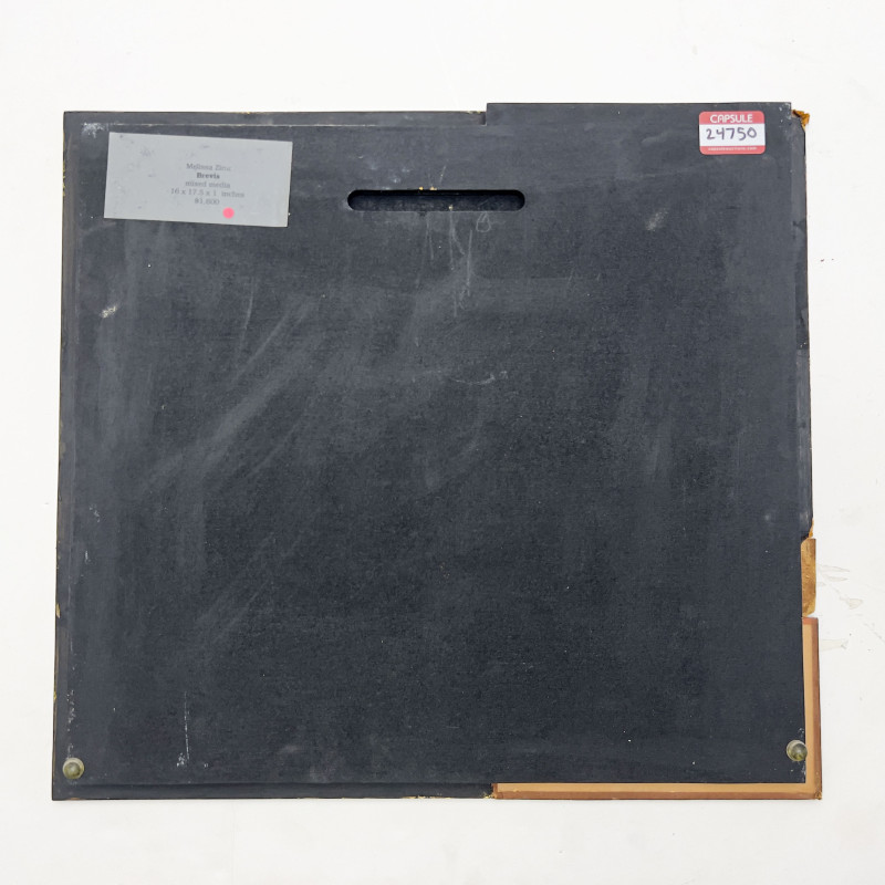 Melissa Zink - Brevis