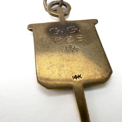 Gold Ring, Link, and Charm