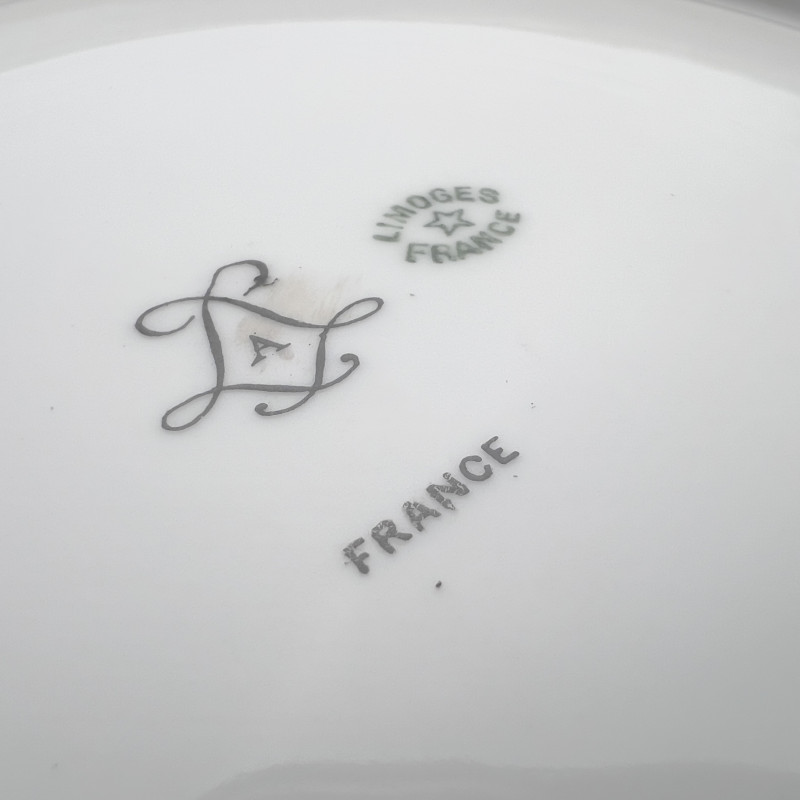 Limoges Ornate Porcelain Fish Service, Set of 15