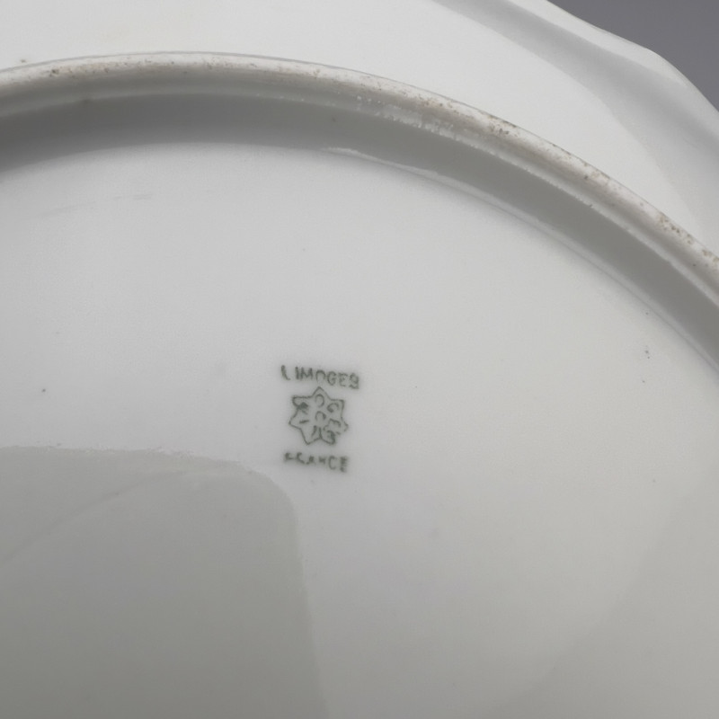 Limoges Bird Plates and Platters, Group of 14