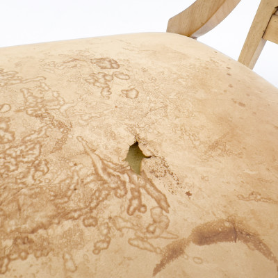 A Pair of Jugendstil Salon Chairs