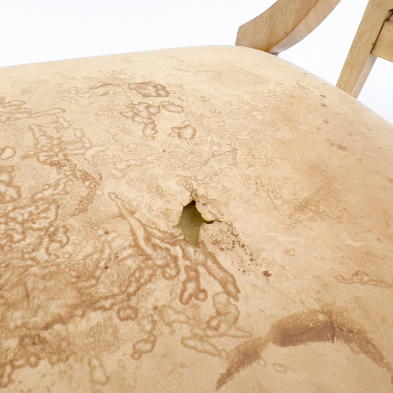 A Pair of Jugendstil Salon Chairs