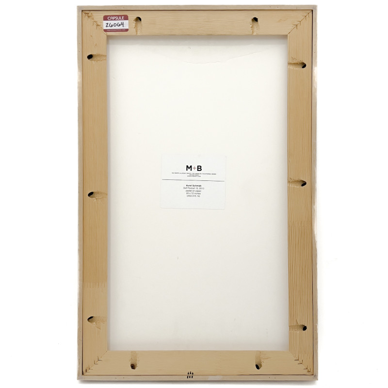 Aurel Schmidt - Self-Portrait 15