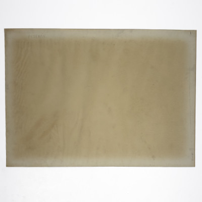 Robert Beauchamp - Fish Man